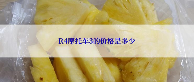 R4摩托车3的价格是多少