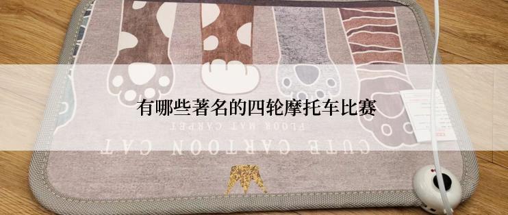  有哪些著名的四轮摩托车比赛