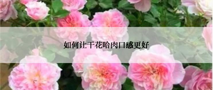 如何让干花哈肉口感更好