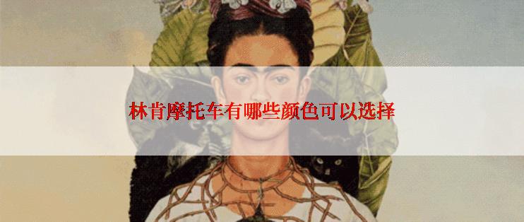 林肯摩托车有哪些颜色可以选择