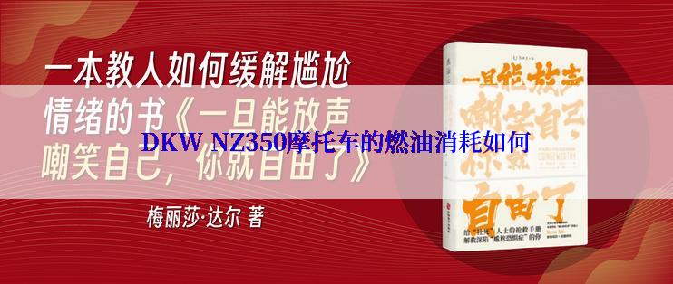DKW NZ350摩托车的燃油消耗如何