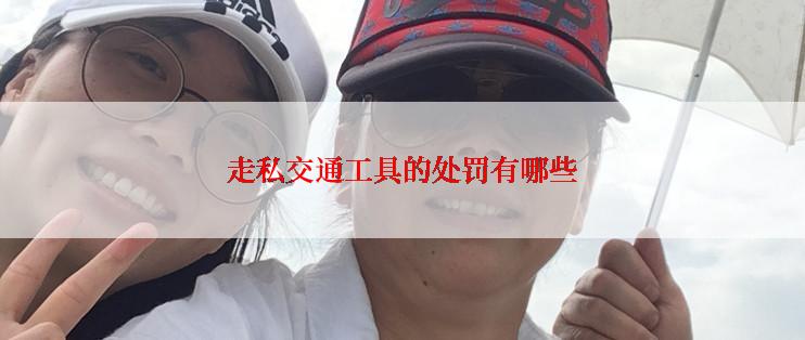 走私交通工具的处罚有哪些