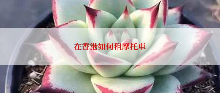在香港如何租摩托車