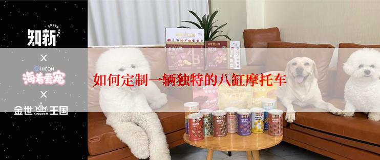 如何定制一辆独特的八缸摩托车