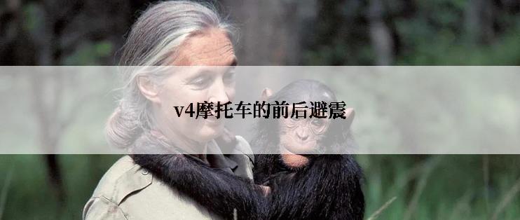 v4摩托车的前后避震