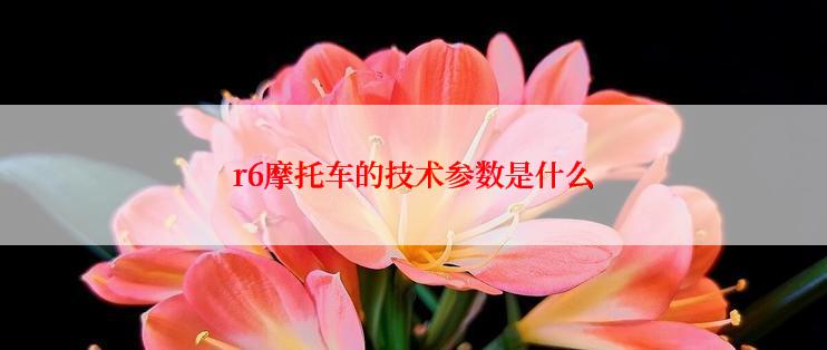 r6摩托车的技术参数是什么
