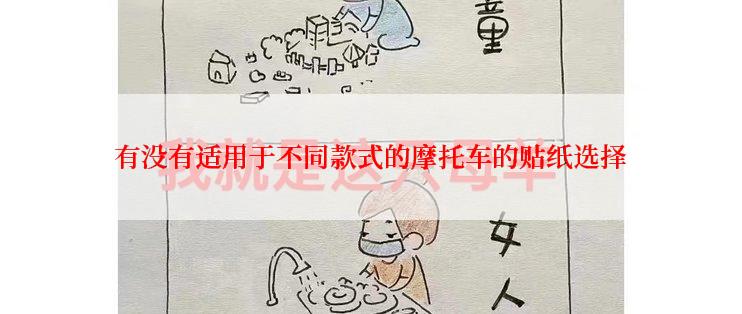 有没有适用于不同款式的摩托车的贴纸选择