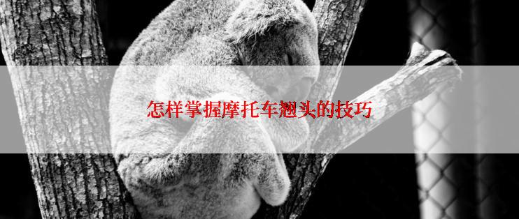 怎样掌握摩托车翘头的技巧