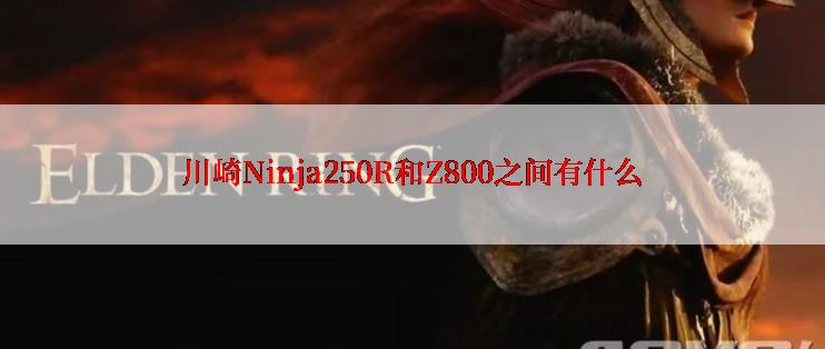 川崎Ninja250R和Z800之间有什么