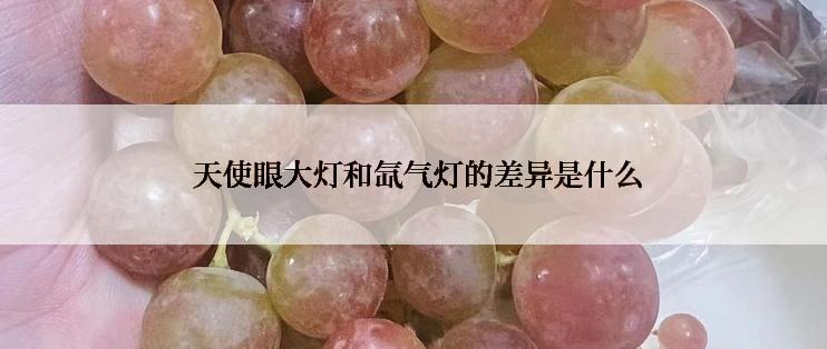  天使眼大灯和氙气灯的差异是什么