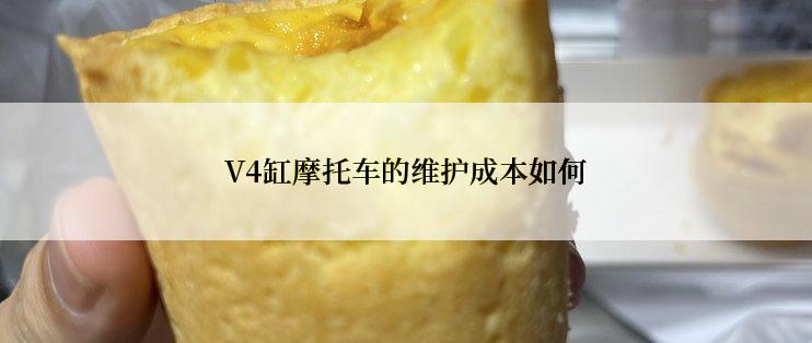 V4缸摩托车的维护成本如何