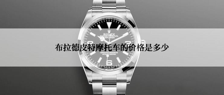 布拉德皮特摩托车的价格是多少