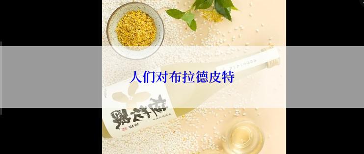 人们对布拉德皮特