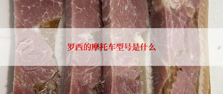 罗西的摩托车型号是什么