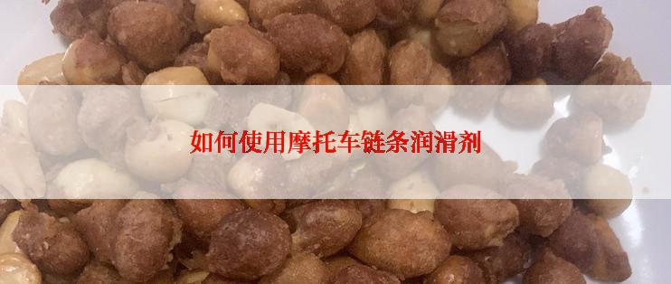 如何使用摩托车链条润滑剂