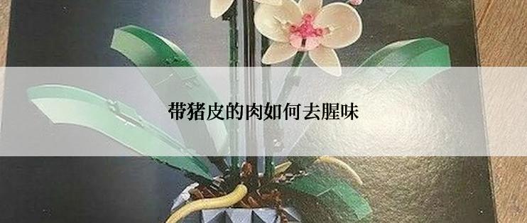 带猪皮的肉如何去腥味