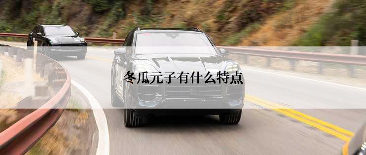 冬瓜元子有什么特点