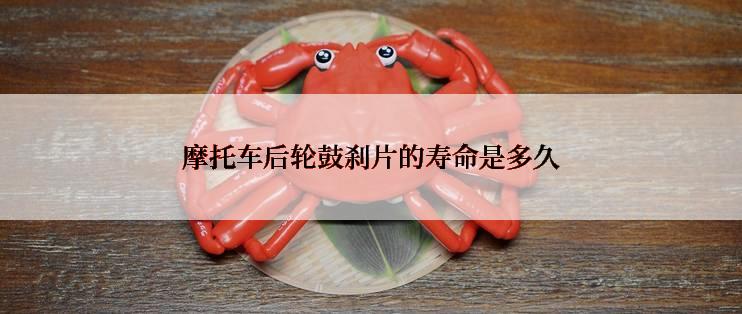 摩托车后轮鼓刹片的寿命是多久