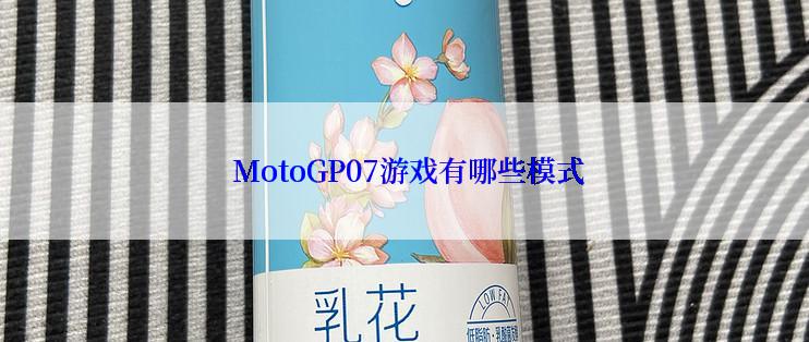 MotoGP07游戏有哪些模式