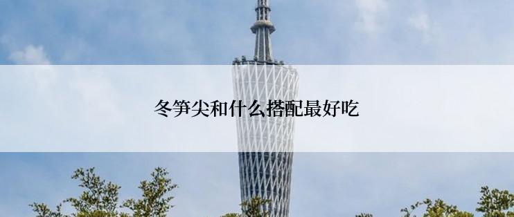 冬笋尖和什么搭配最好吃