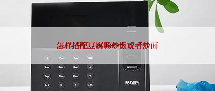 怎样搭配豆腐肠炒饭或者炒面