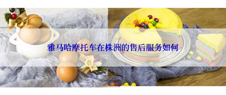 雅马哈摩托车在株洲的售后服务如何