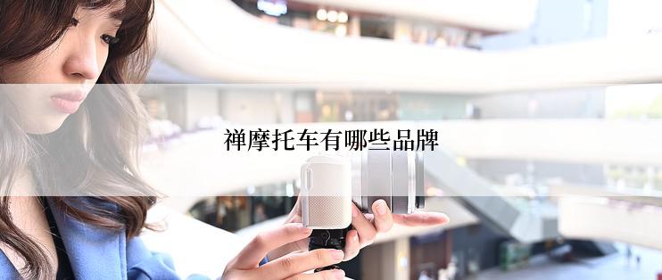 禅摩托车有哪些品牌
