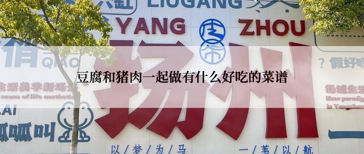 豆腐和猪肉一起做有什么好吃的菜谱