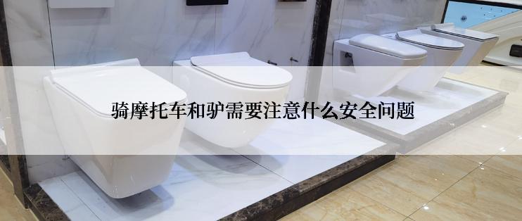  骑摩托车和驴需要注意什么安全问题