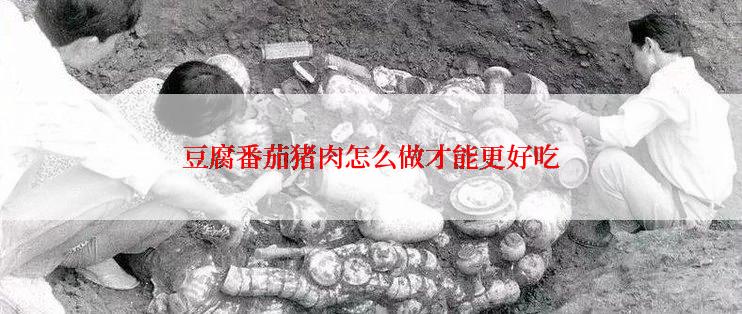 豆腐番茄猪肉怎么做才能更好吃