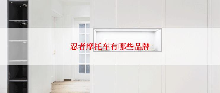 忍者摩托车有哪些品牌
