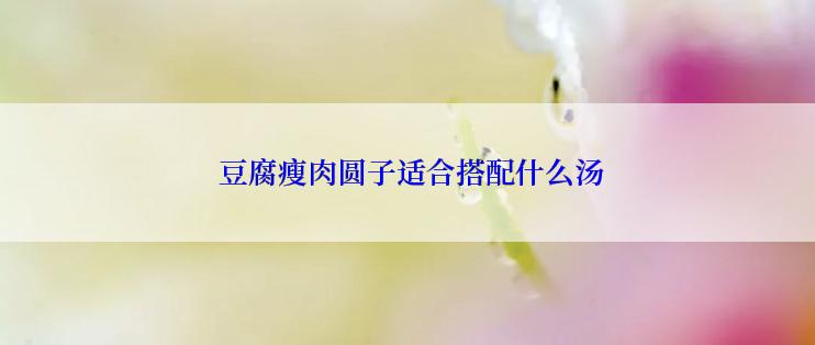  豆腐瘦肉圆子适合搭配什么汤