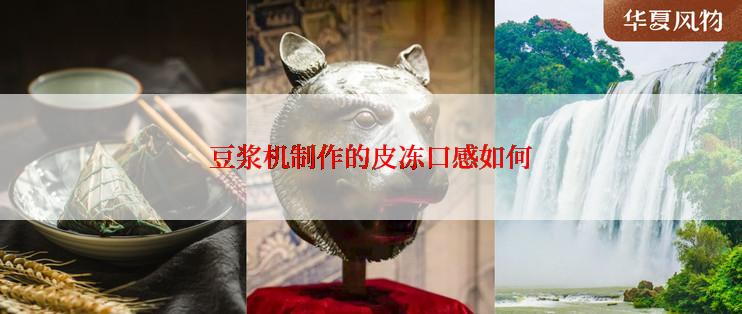 豆浆机制作的皮冻口感如何