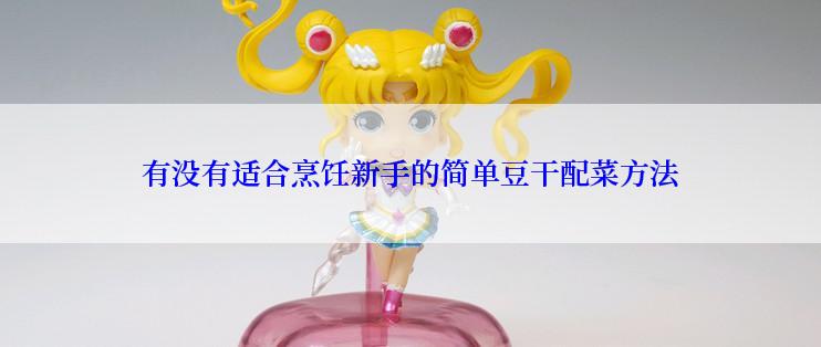有没有适合烹饪新手的简单豆干配菜方法