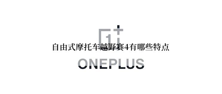 自由式摩托车越野赛4有哪些特点