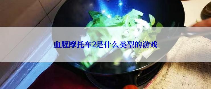 血腥摩托车2是什么类型的游戏