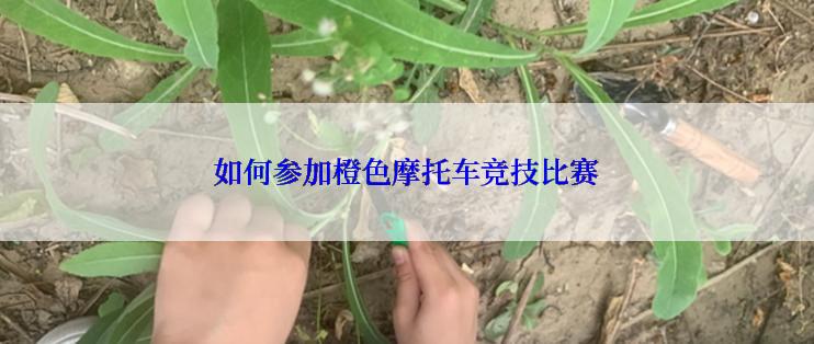如何参加橙色摩托车竞技比赛