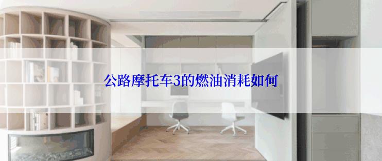公路摩托车3的燃油消耗如何