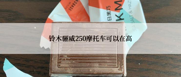 铃木骊威250摩托车可以在高