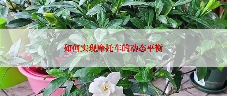 如何实现摩托车的动态平衡