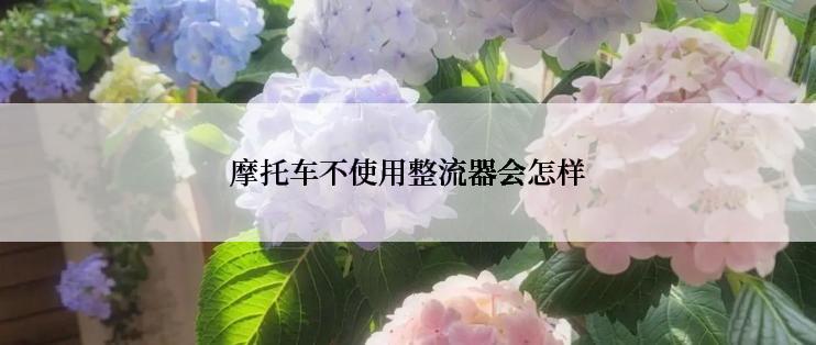 摩托车不使用整流器会怎样