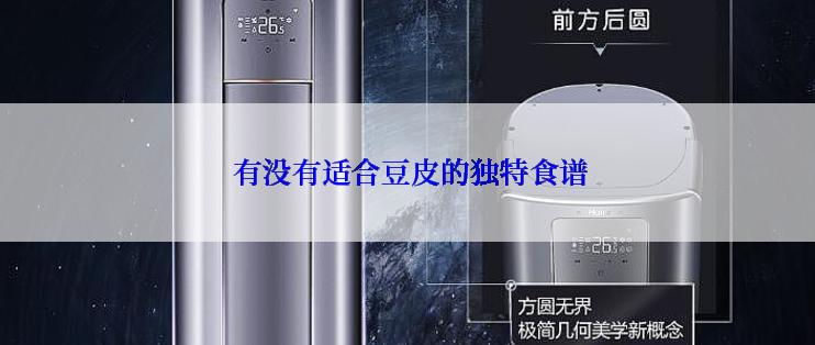  有没有适合豆皮的独特食谱