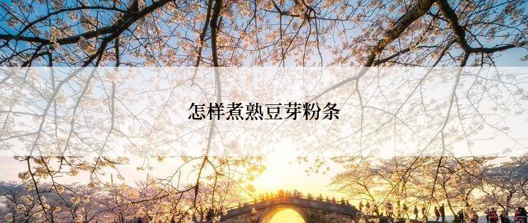 怎样煮熟豆芽粉条