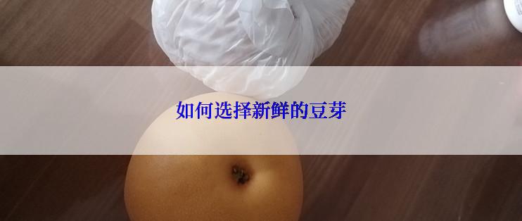 如何选择新鲜的豆芽