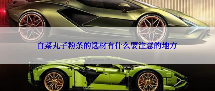 白菜丸子粉条的选材有什么要注意的地方