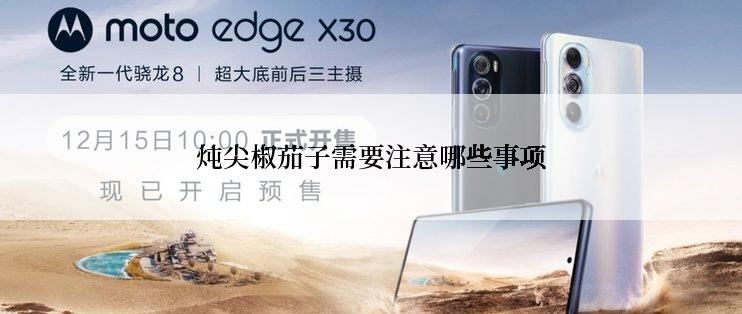 炖尖椒茄子需要注意哪些事项