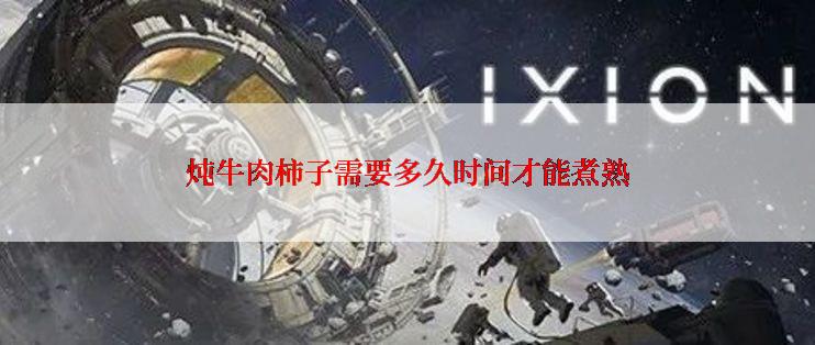 炖牛肉柿子需要多久时间才能煮熟