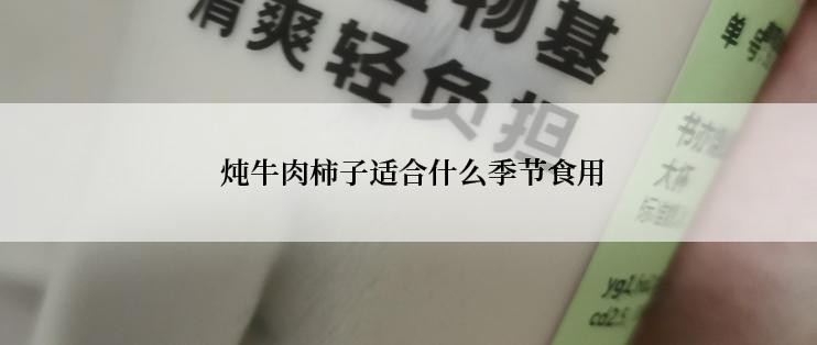  炖牛肉柿子适合什么季节食用