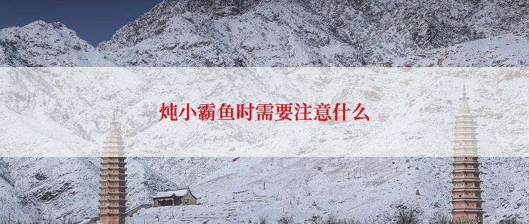 炖小霸鱼时需要注意什么