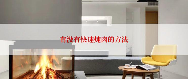 有没有快速炖肉的方法
